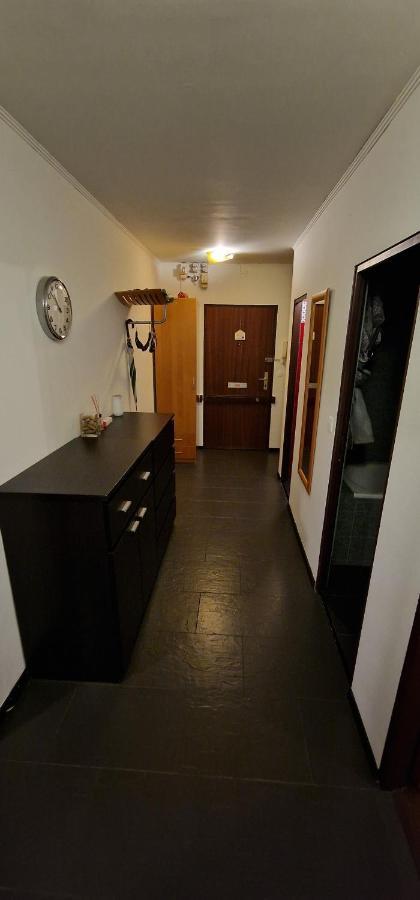 Vienna Schloss Schoenbrunn 6 Appartment Εξωτερικό φωτογραφία